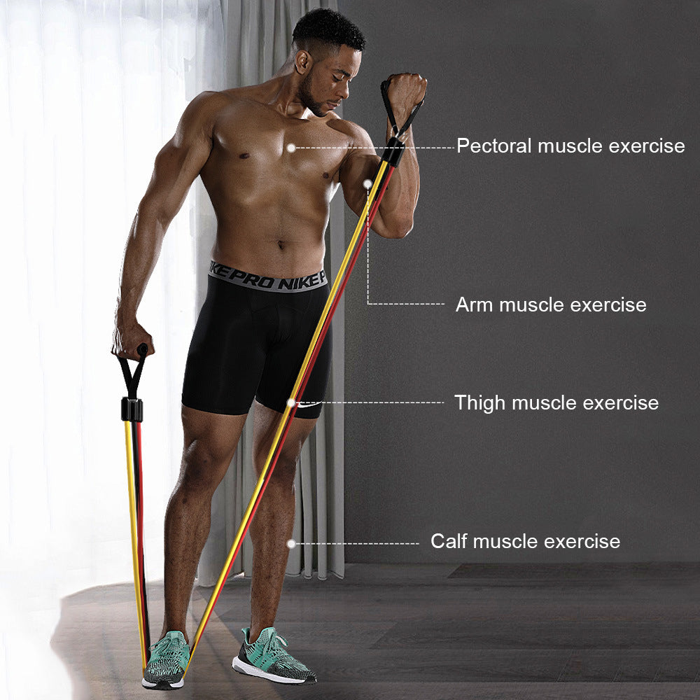 Resistance Exercise Bands