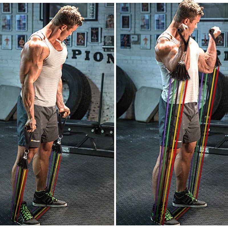 Resistance Exercise Bands